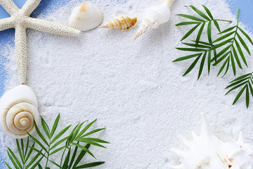 White sand with sea shells and foliage plant,summer background   夏イメージ　カード © nana77777