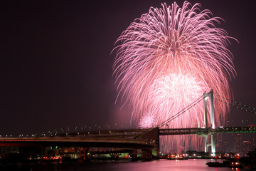 東京湾華火大会
