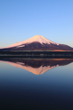 Fuji Mountain