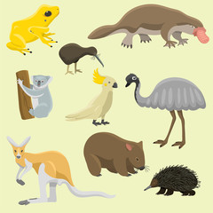 Australia wild animals cartoon popular nature characters flat style mammal collection vector illustration.