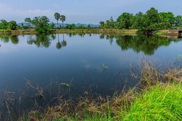 Irrigation pond