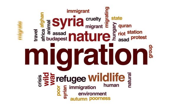 Migration animated word cloud, text design animation.