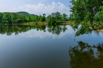 Fototapeta na wymiar Irrigation pond
