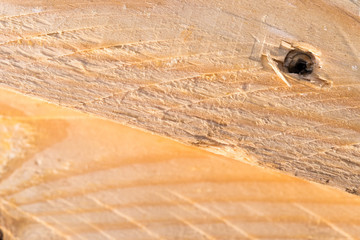 Wood texture