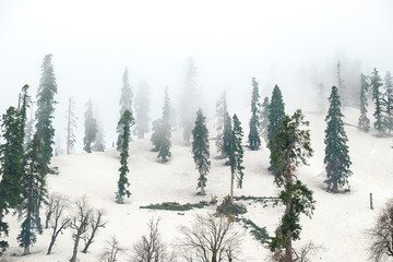 Snow covered mountains in Gulmarg, Jammu And Kashmir, India