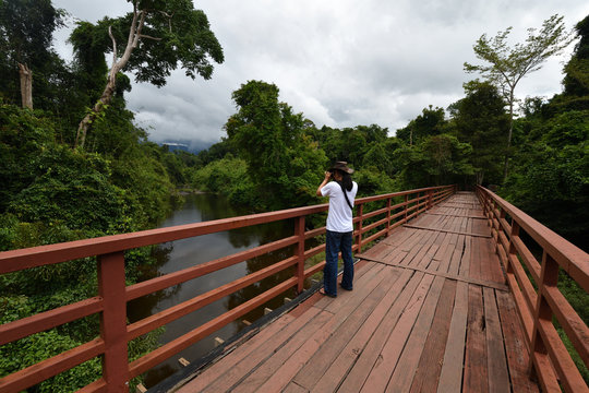 May 10, 2017 Dong Phaya Yen–Khao Yai Forest Complex Nakhon Ratchasima Province (Khorat) Thailand,A man is taking a photo on the bridge. Cross the river in the jungle.