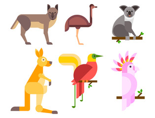 Australia wild animals cartoon popular nature characters flat style and australian mammal aussie native forest collection vector illustration.