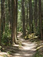 熊野古道