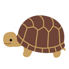 横向きのリクガメ