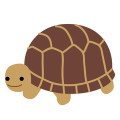 斜め向きのリクガメ