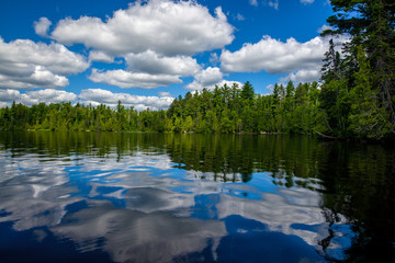 Naklejka premium reflecting clouds and forest, sawbill lake, bwcaw