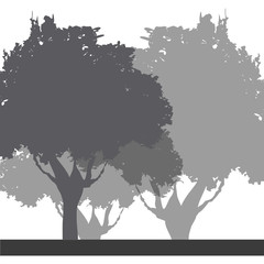 tree foliage trunk branch image vector illustration