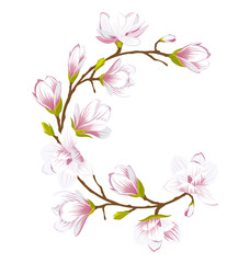 Round Frame Made of Beautiful Magnolia Flowers
