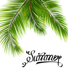 Fototapeta na wymiar Lettering Text Summer with Palm Leaves
