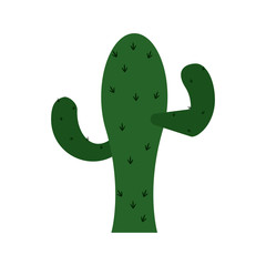 single cactus icon image vector illustration design