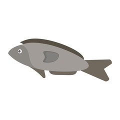 fish for eating icon image vector illustration design 