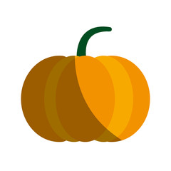 pumpkin vegetable icon image vector illustration design 
