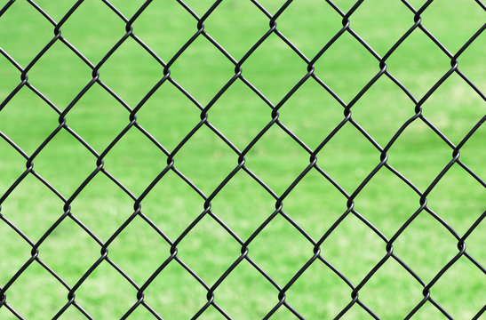 chain link fence in front of green lawn