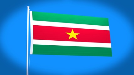 the national flag of Suriname