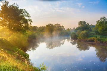 Naklejka na ściany i meble summer rural landscape with river, forest and fog