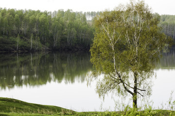 Fototapeta na wymiar Morning spring landscape on the lake.