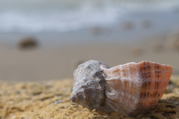 sunny mood of the sea