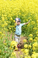 菜の花畑で遊ぶ子供