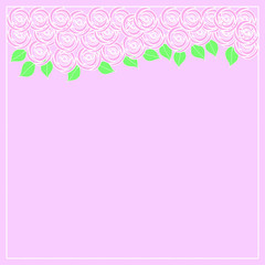 Fototapeta premium Pink roses background on white with copy space