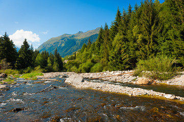 Fototapeta na wymiar River flowing through a mountain forest.
