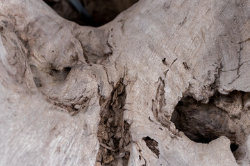Old natural wooden shabby background close up. Antique background. Bali. Pattern.