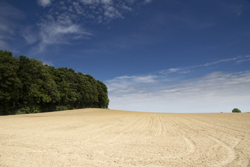 Fototapeta na wymiar Landscape near Ubachsberg