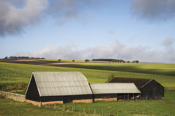 Beautiful agricultural English countryside landscape during early Spring