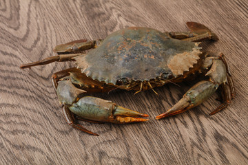 Raw crab