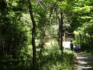 Noyamakita-Rokudoyama Park/Musashimurayama,Tokyo