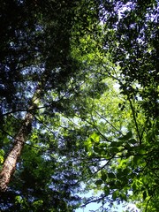Noyamakita-Rokudoyama Park/Musashimurayama,Tokyo
