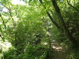 Noyamakita-Rokudoyama Park/Musashimurayama,Tokyo