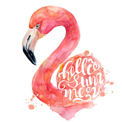 Watercolor pink flamingo hand painted illustration