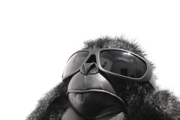 funny gorilla with sunglasses