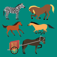 Horse pony stallion isolated different breeds color farm equestrian animal characters vector illustration.