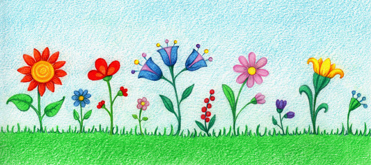 Hand drawn illustration of  meadow full of flowers by colorful pencils © olha_oleskova