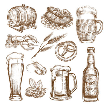 hand drawn sketch illustration beer on white background