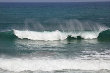 Fototapeta premium Spain, Canary Island, Fuerteventura