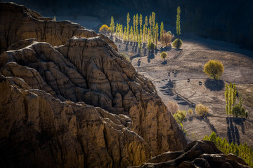 Colourful trees on harvested barley fields in late October in Lamayuru village in the Indian Himalayas, Ladakh, Jammu and Kashmir, North India.