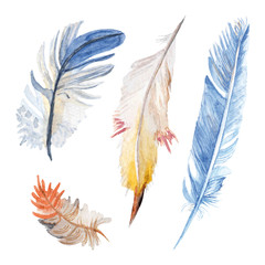 Watercolor bird four various feathers