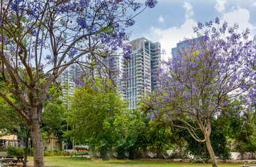 Luxury residential skyscrapers at Sarona district in Tel Aviv.