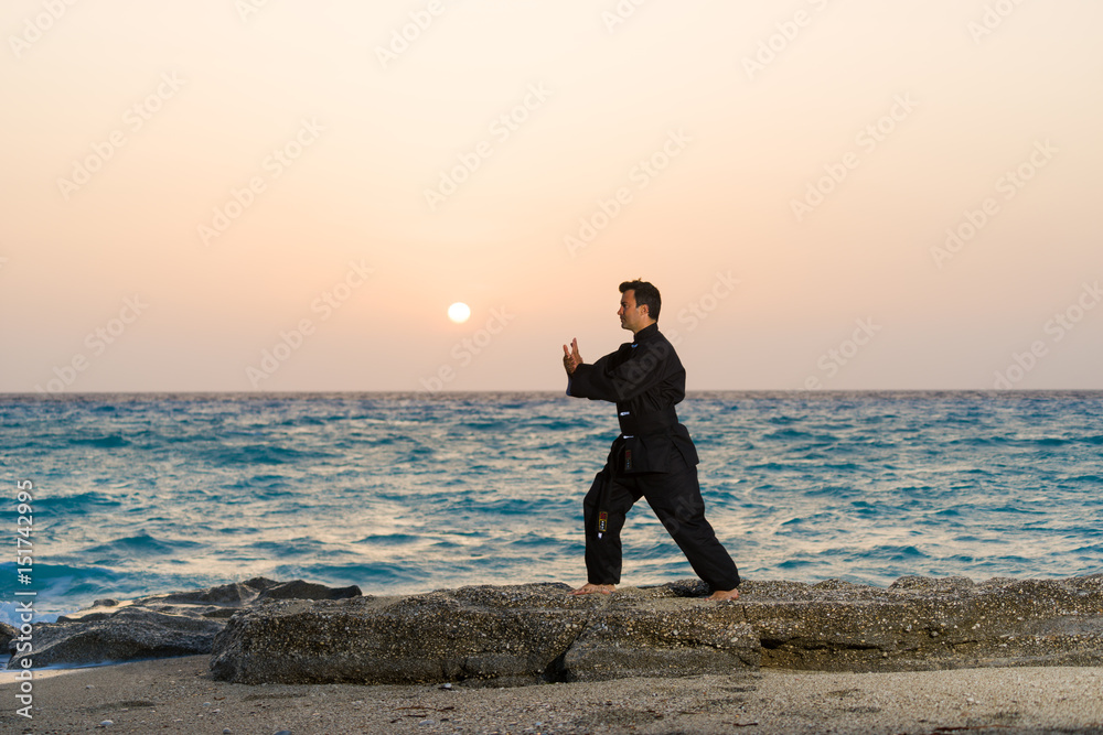 Wall mural man performs tai chi moves