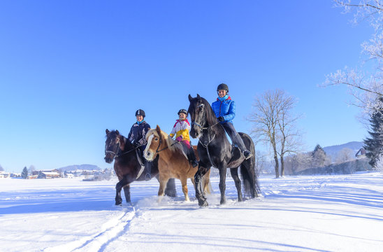 Drei Reiterinnen genießen den herrlichen Wintertag hoch zu Roß