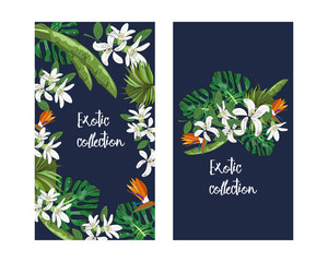Vector tropical banner with leaves and flowers. Design for packaging, tea shop, drink menu, homeopathy and health care products. Exotic collection.