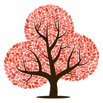 Vector tree with red leaves isolated on a white background
