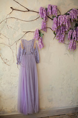 Beautiful lilac or vyolet fluffy gorgeous dress is hanging on the wall with climbing blooming Wisteria. Wedding or prom paparty celebration